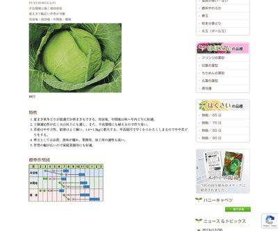 冬駿河（ふゆするが）