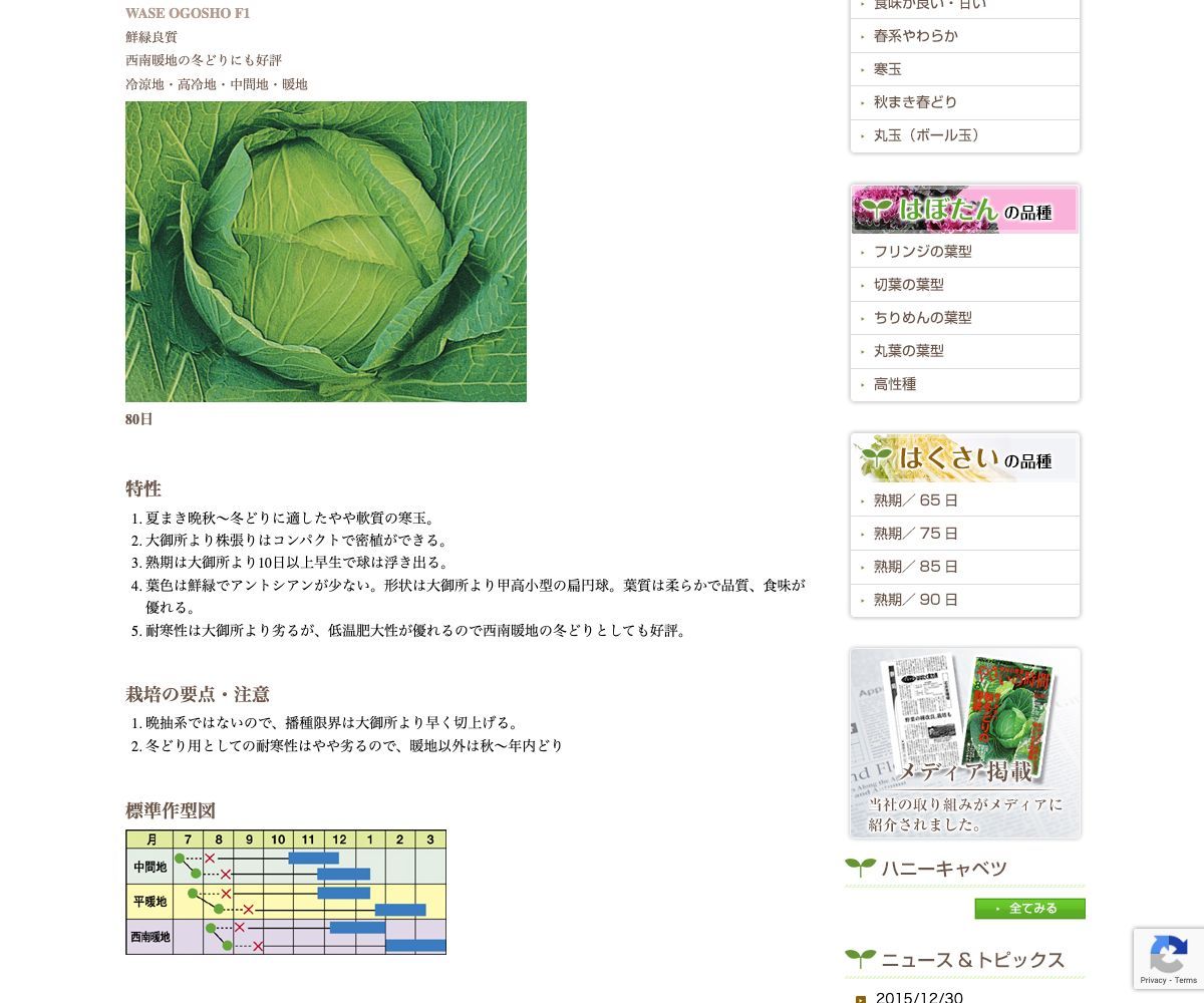 早生大御所(わせおおごしょ)