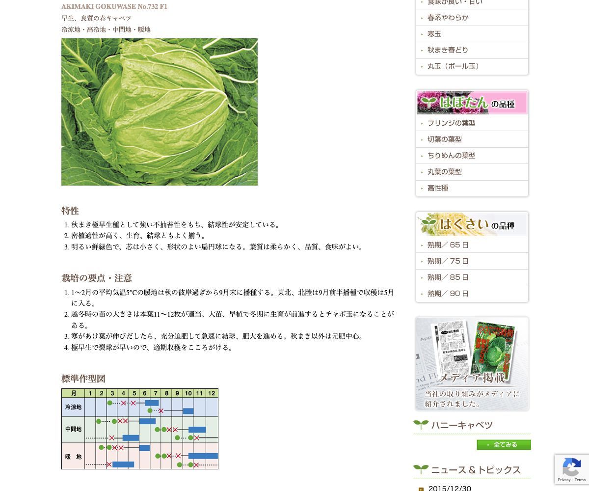 秋蒔極早生(あきまきごくわせ)732号
