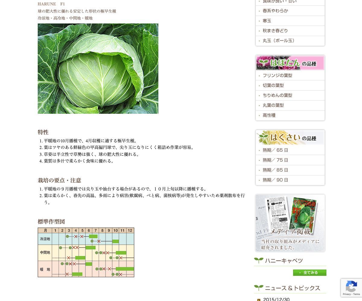 はるね