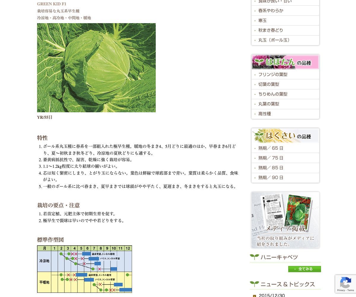 グリーンキッド