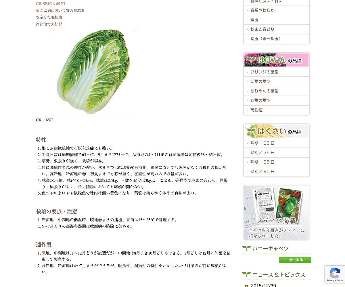 CR清雅(せいが)65