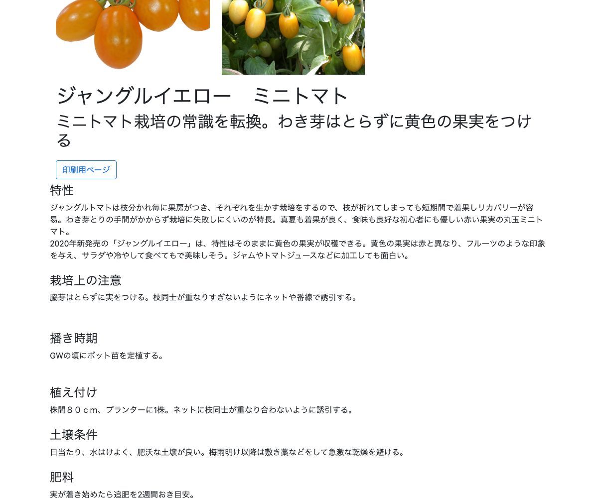 ジャングルイエロー ミニトマト