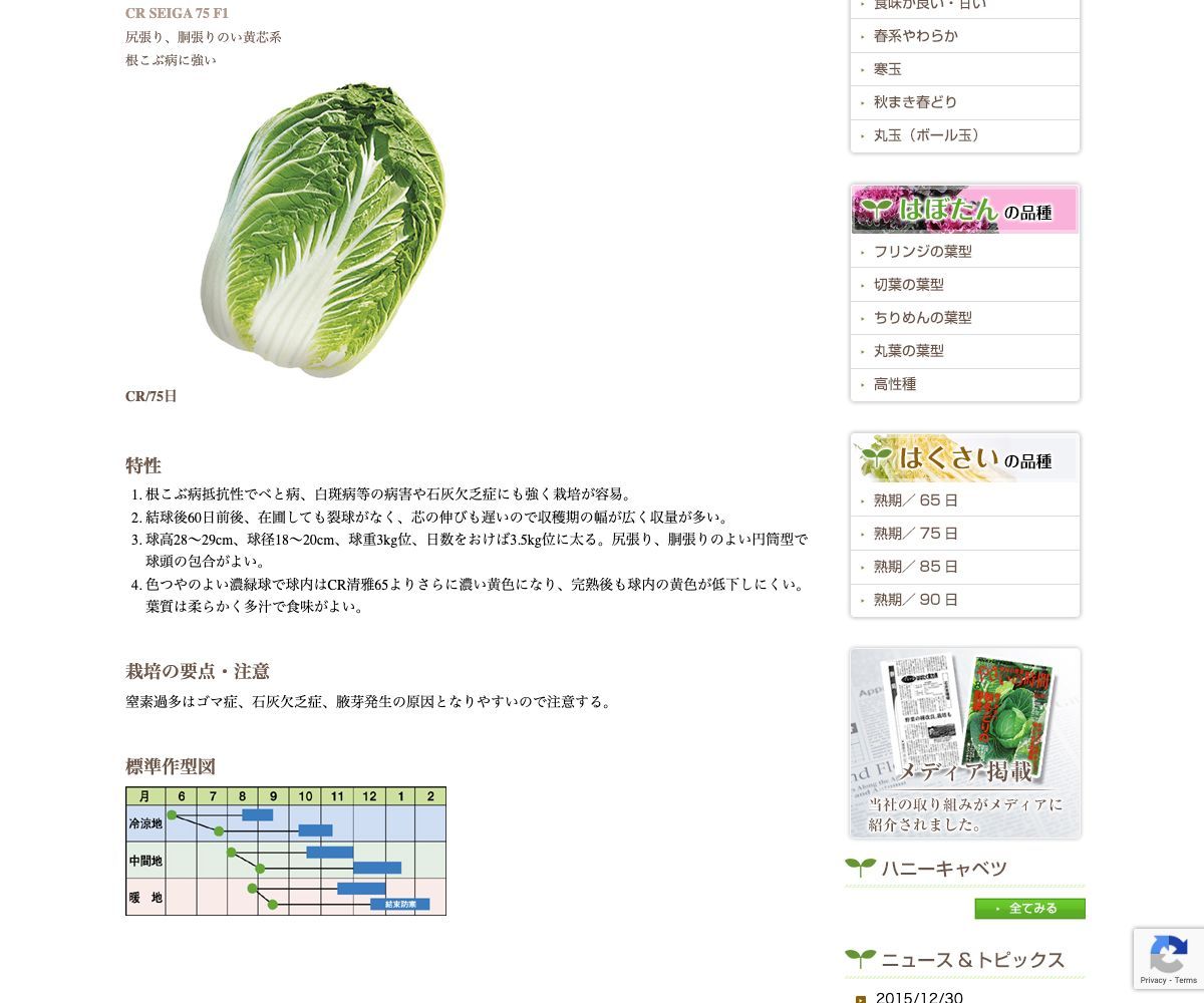 CR清雅(せいが)75