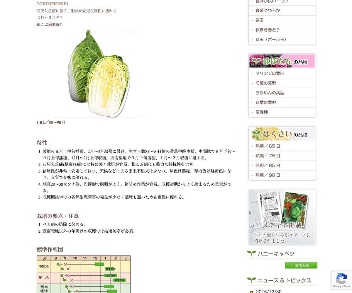ときめき85
