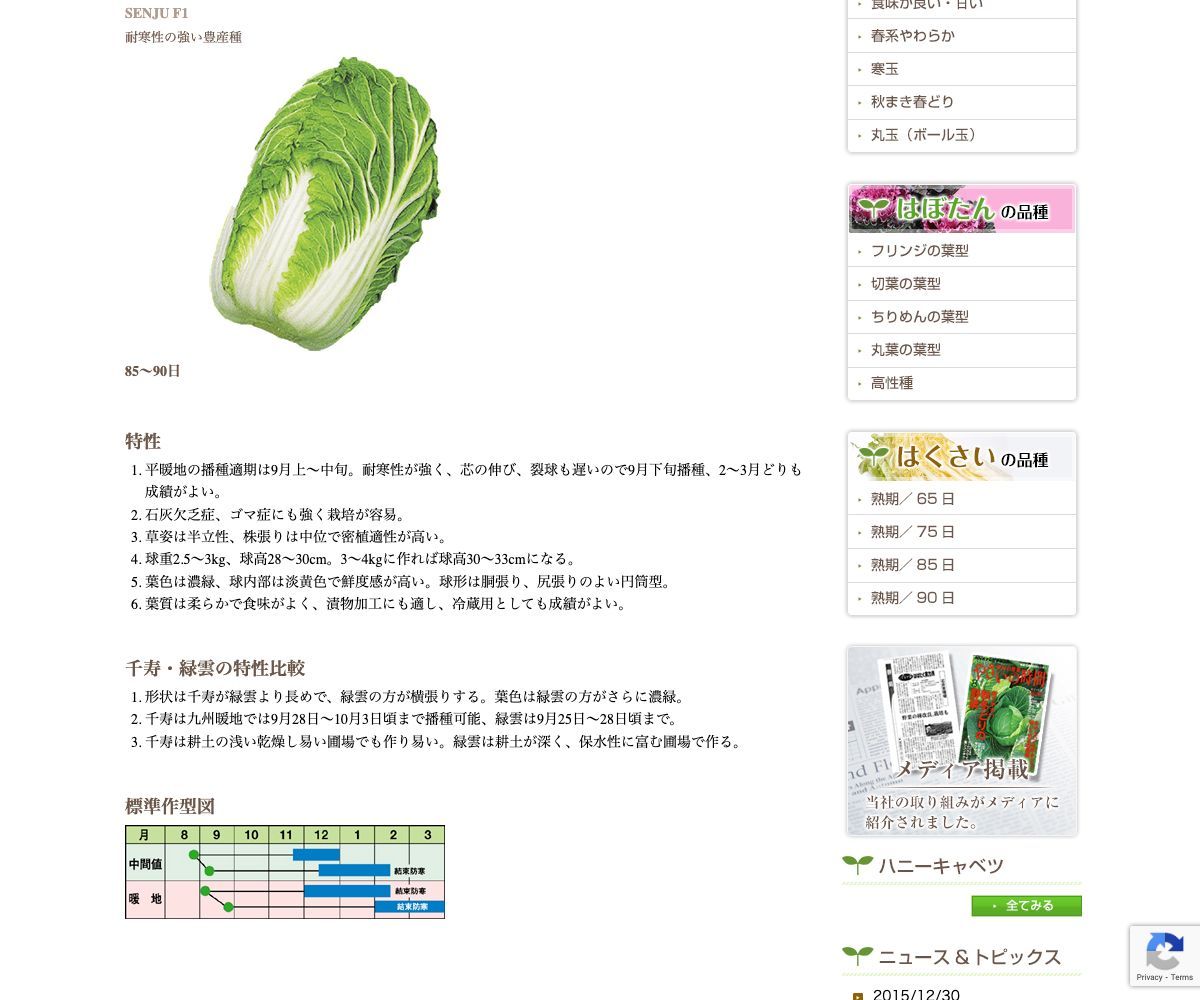 千寿(せんじゅ)