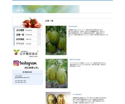 白皮緑肉メロンの画像