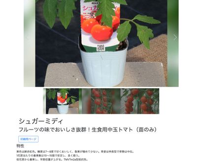 シュガーミディの画像