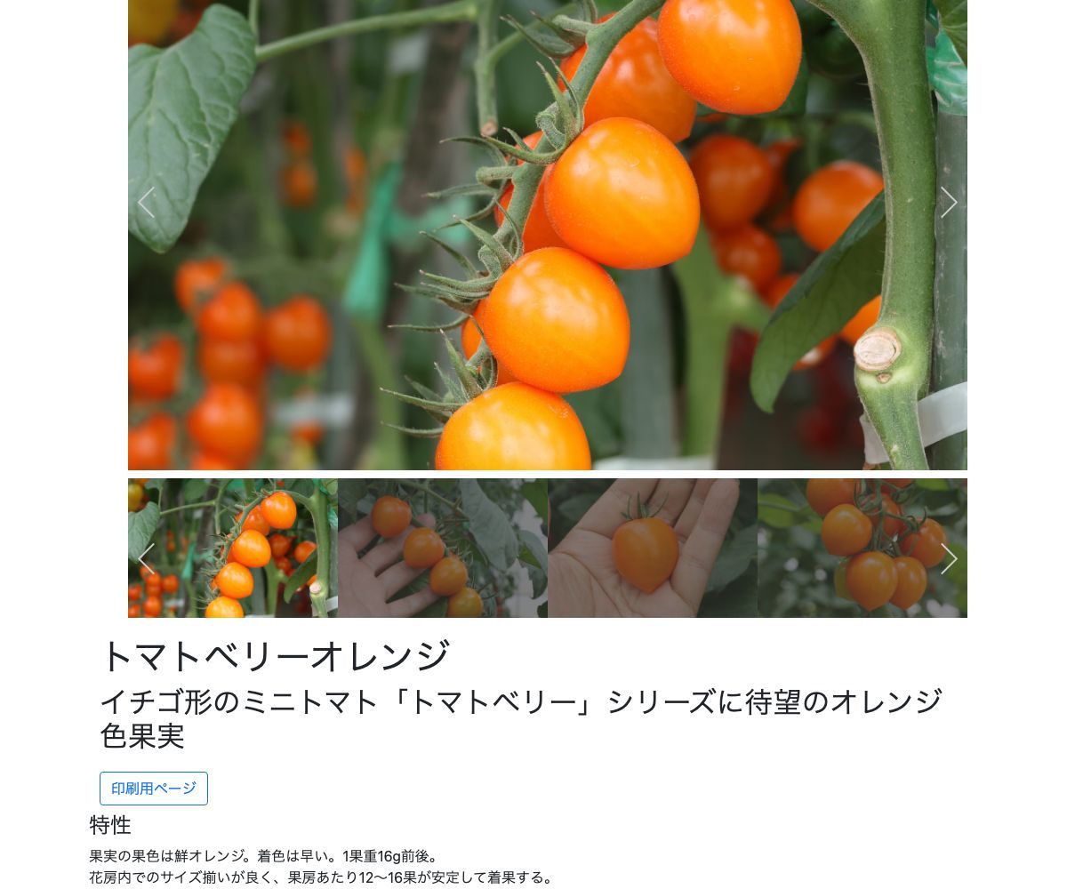 トマトベリーオレンジ