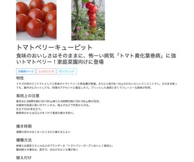 トマトベリーキューピット