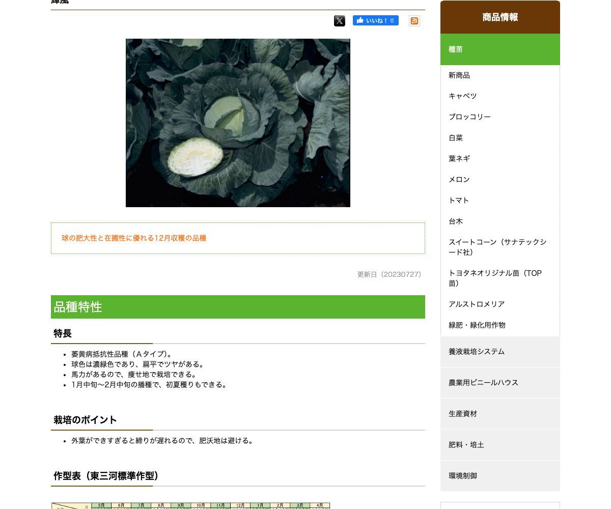 輝風