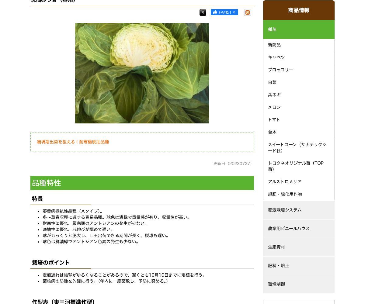 晩抽みつき