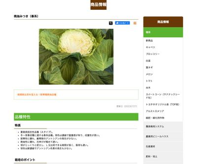 晩抽みつきの画像