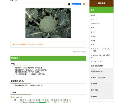 バンベル
