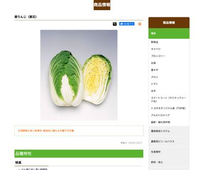 黄りんじの画像