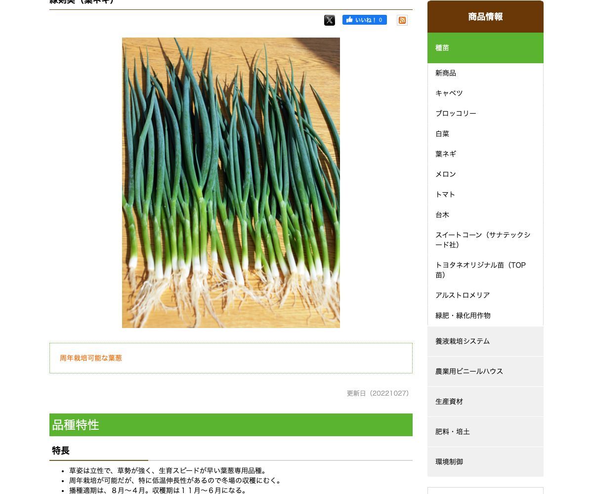 緑剣美