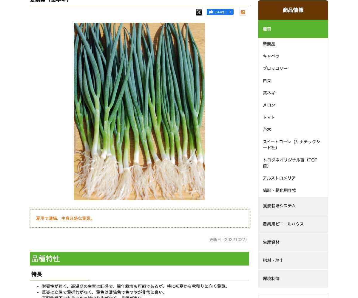夏剣美