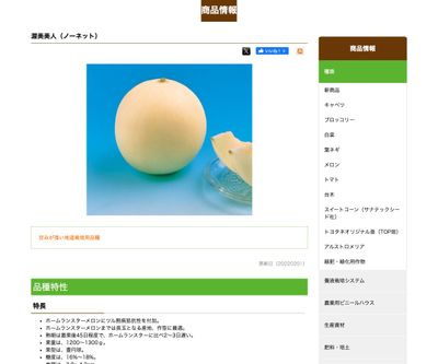 渥美美人の画像