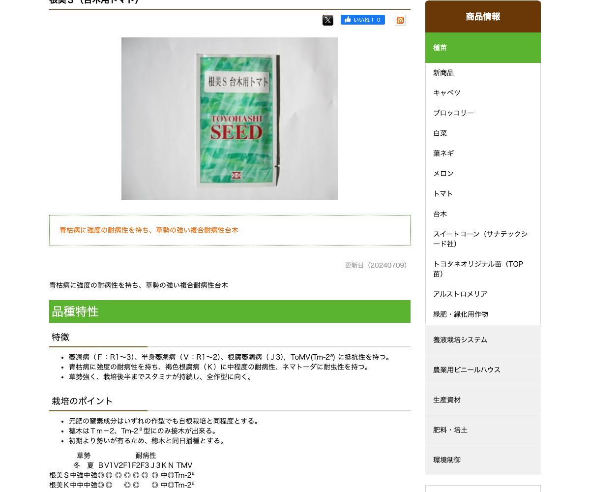 根美S
