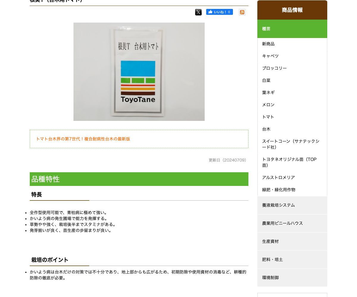根美T