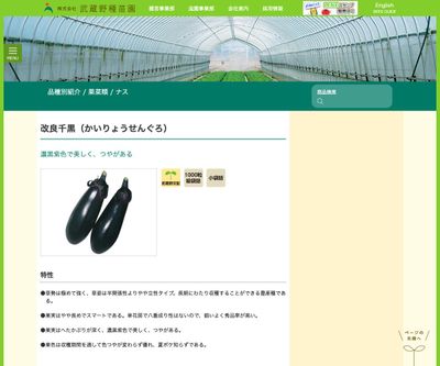 改良千黒（かいりょうせんぐろ）の画像