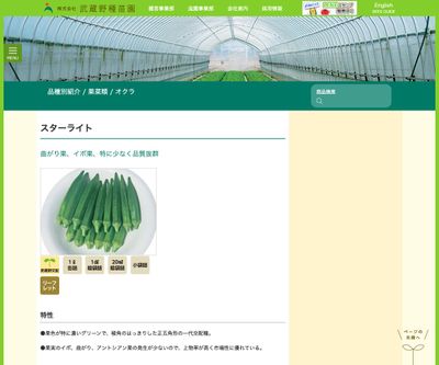 スターライトの画像