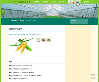 さきちゃん80の画像