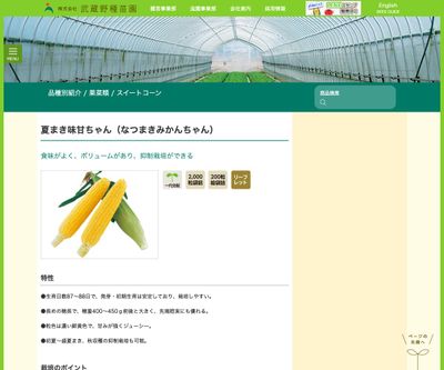 夏まき味甘ちゃん（なつまきみかんちゃん）の画像