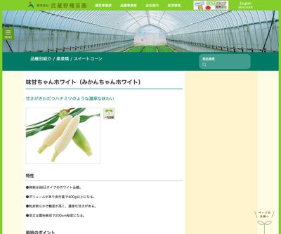 味甘ちゃんホワイト（みかんちゃんホワイト）の画像