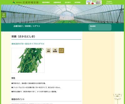 栄錦（さかえにしき）の画像