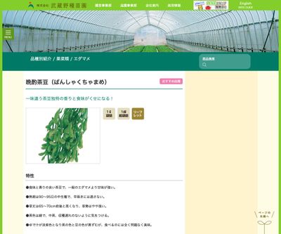 晩酌茶豆（ばんしゃくちゃまめ）の画像