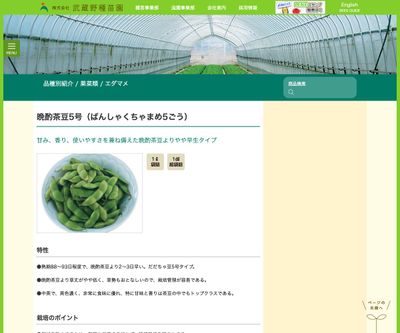 晩酌茶豆5号（ばんしゃくちゃまめ5ごう）の画像