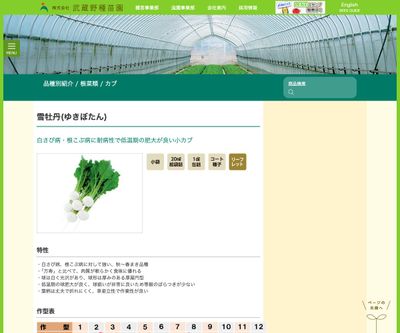 雪牡丹（ゆきぼたん）の画像