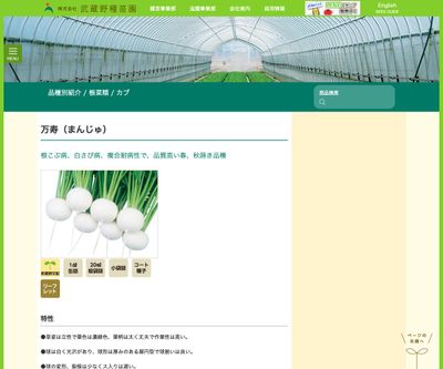 万寿（まんじゅ）の画像