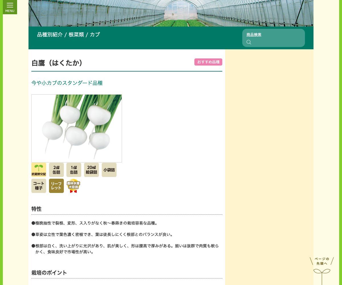 白鷹(はくたか)