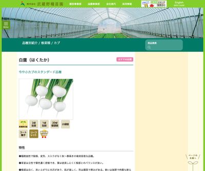 白鷹（はくたか）の画像