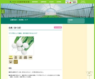 白馬（はくば）の画像