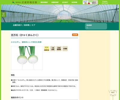 百万石（ひゃくまんごく）の画像