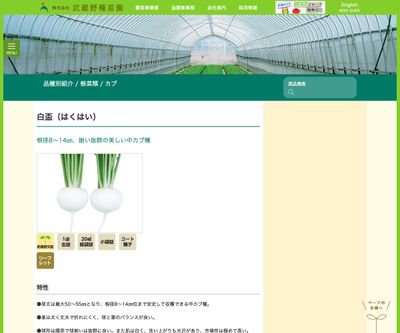 白盃（はくはい）の画像