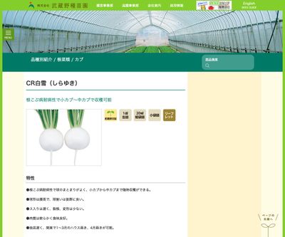 CR白雪（しらゆき）の画像