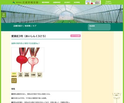 愛真紅3号（あいしんく3ごう）の画像