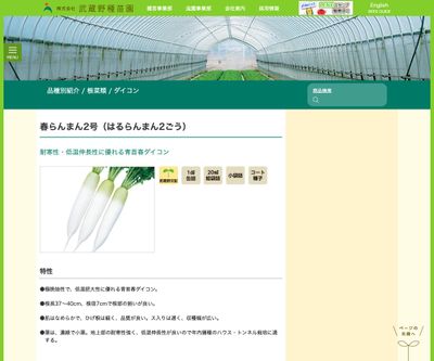 春らんまん2号（はるらんまん2ごう）の画像