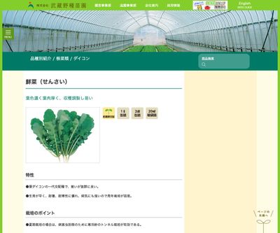 鮮菜（せんさい）の画像