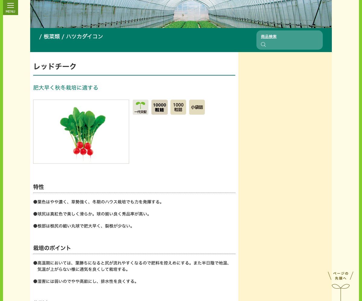 レッドチーク