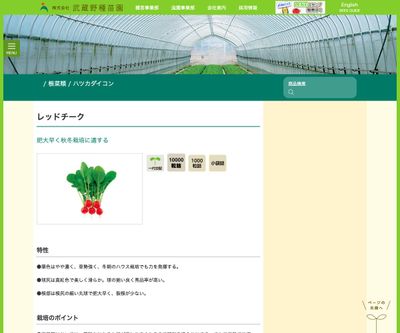 レッドチークの画像