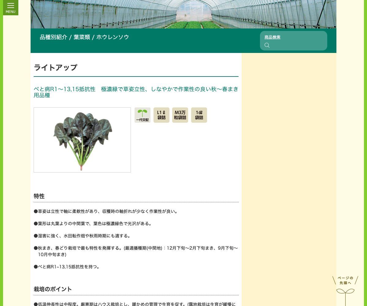 ライトアップ