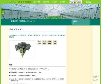 ライトアップの画像