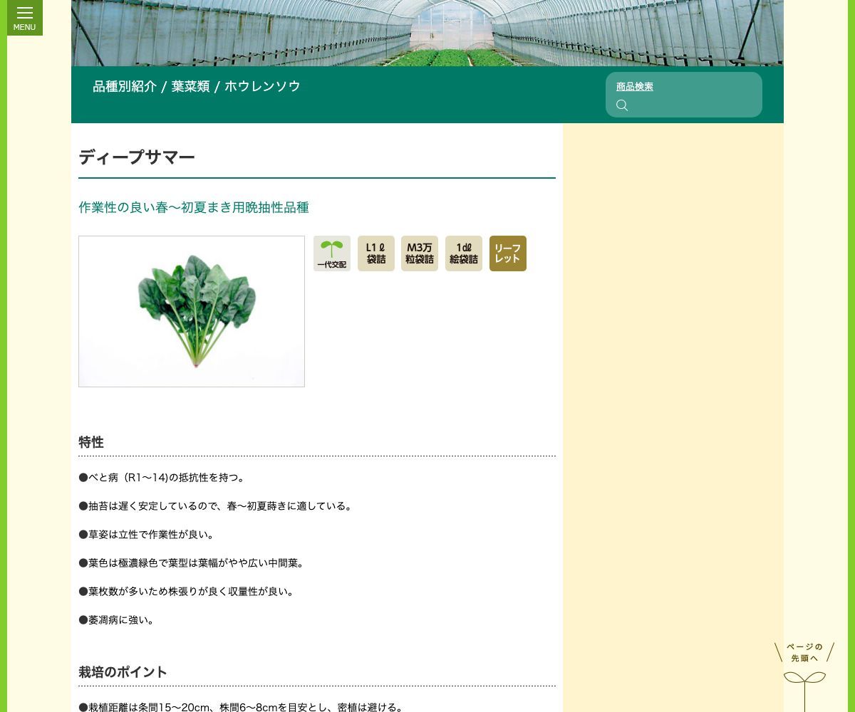 ディープサマー