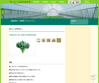 ディープサマーの画像