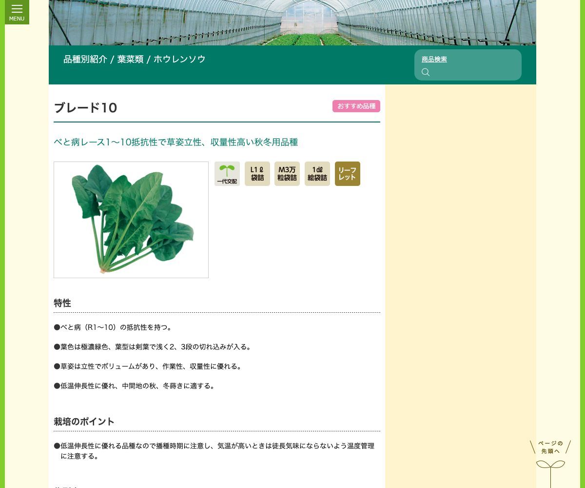ブレード10